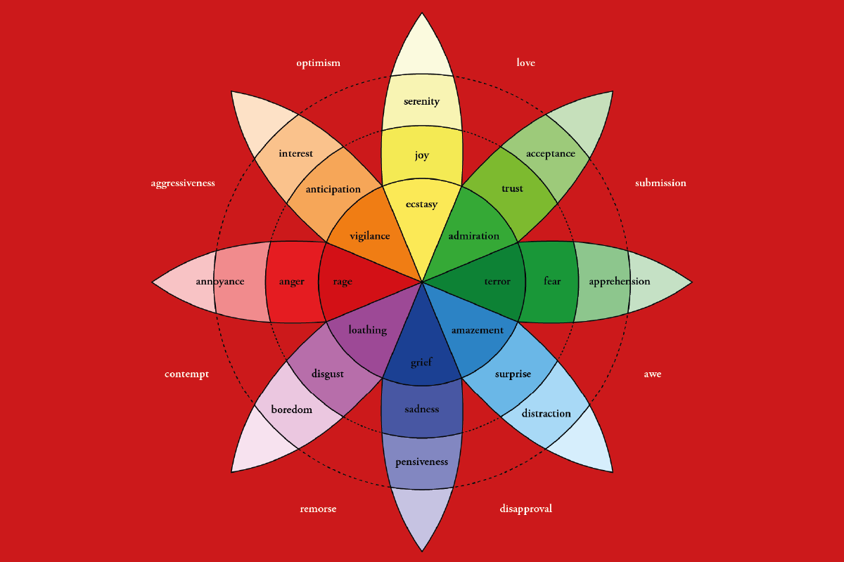 Identificazione emotiva e Teoria della ricezione
